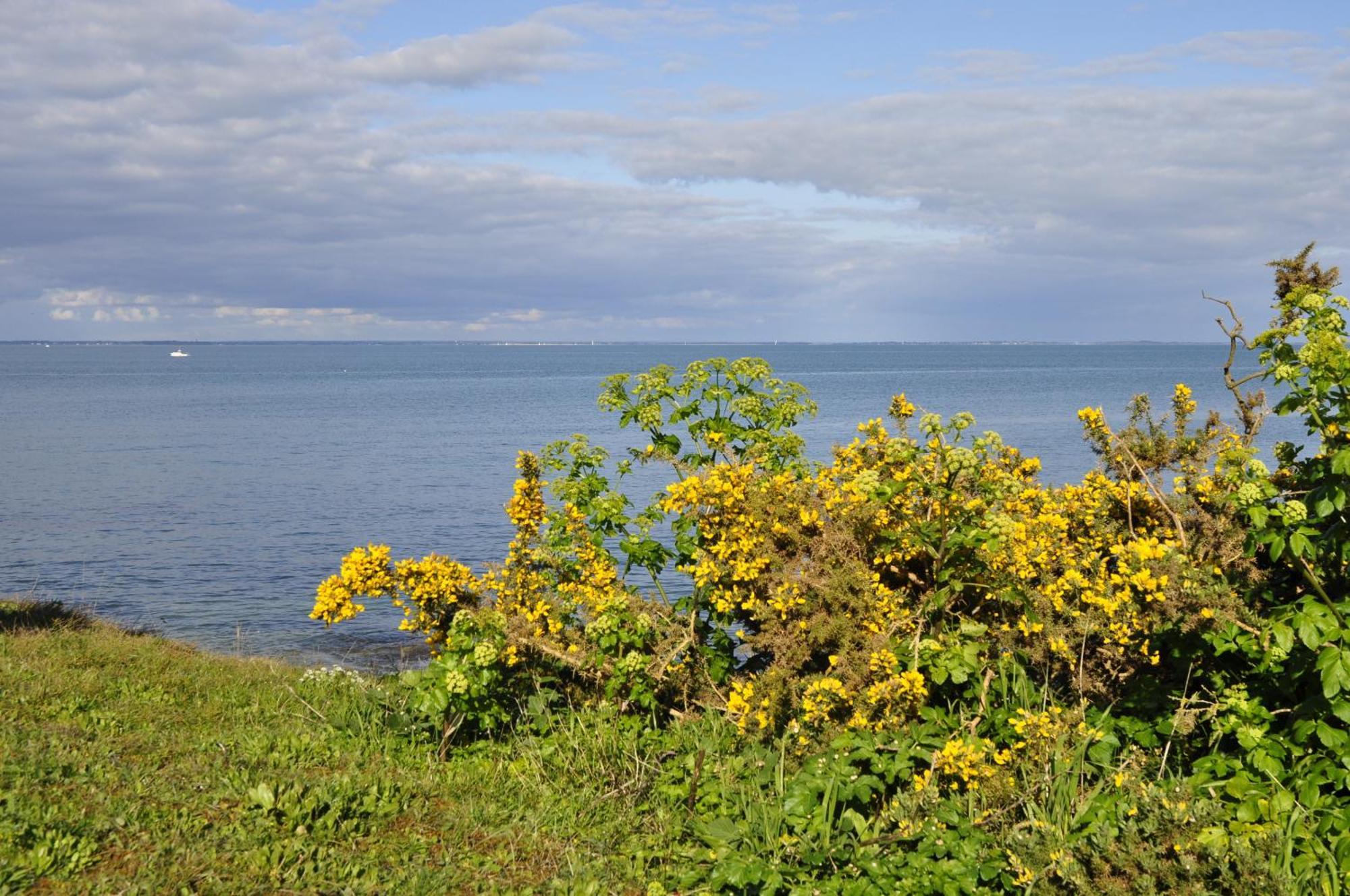 Panorama Vue Mer Quiberon Habitación foto